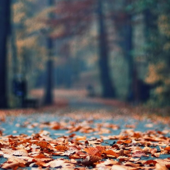 Meet your Posher, Angela - Picture 1 of 1